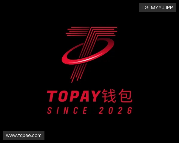 介绍TOPAY钱包